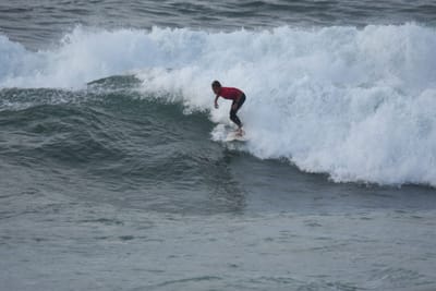 DSC_1184.JPG
