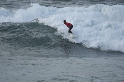DSC_1185.JPG