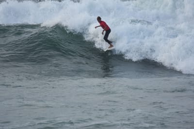 DSC_1186.JPG