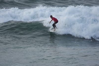 DSC_1187.JPG