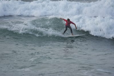 DSC_1195.JPG
