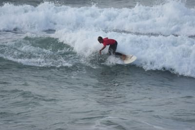 DSC_1196.JPG