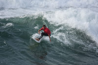 DSC_1262.JPG
