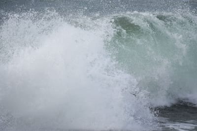 DSC_1318.JPG