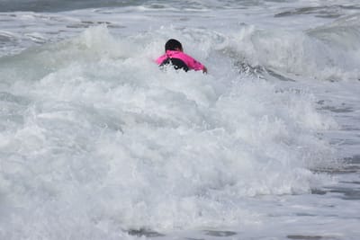 DSC_1382.JPG