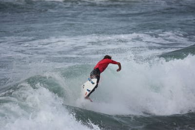 DSC_1406.JPG