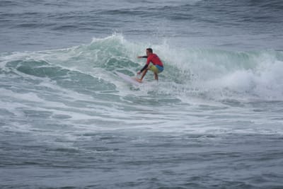 DSC_1420.JPG
