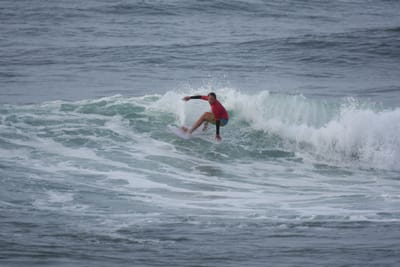 DSC_1422.JPG
