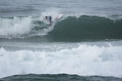 DSC_1450.JPG