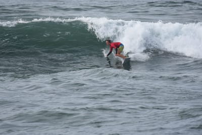 DSC_1500.JPG