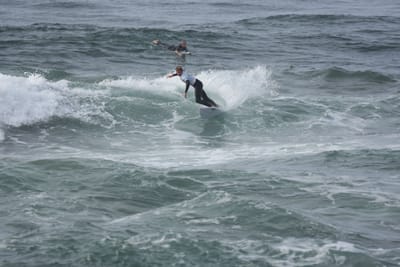 DSC_1510.JPG