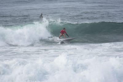 DSC_1514.JPG
