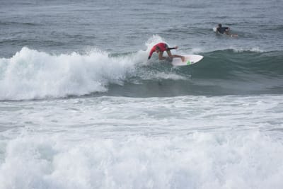 DSC_1517.JPG