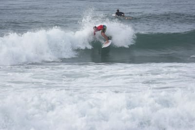 DSC_1519.JPG