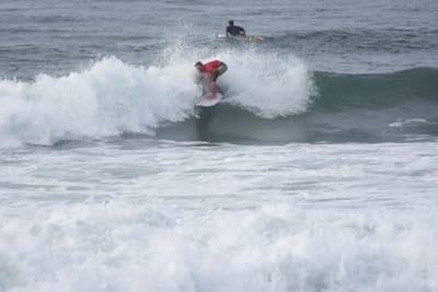 DSC_1520.JPG