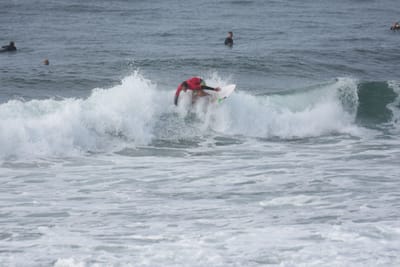 DSC_1524.JPG