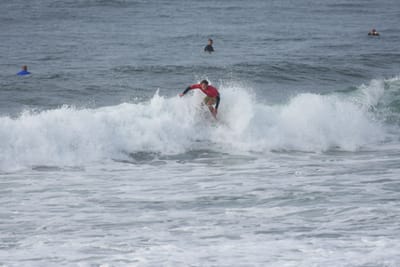DSC_1526.JPG