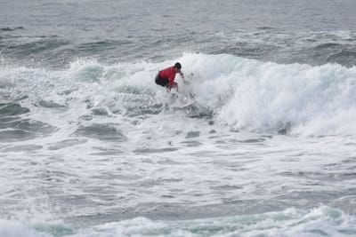 DSC_1555.JPG