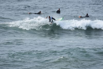 DSC_1725.JPG