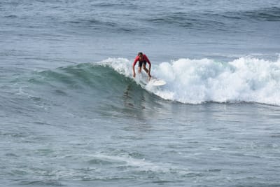 DSC_1737.JPG