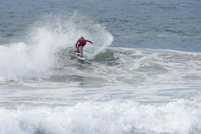 DSC_1781.JPG