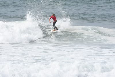DSC_1927.JPG