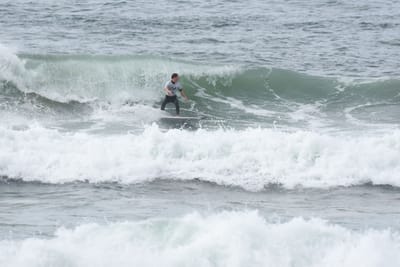 DSC_1954.JPG