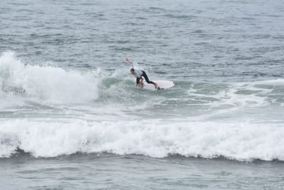 DSC_1955.JPG