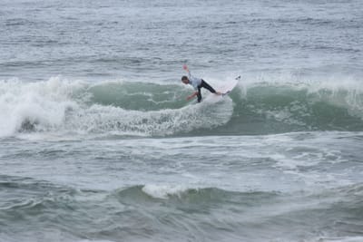 DSC_1998.JPG