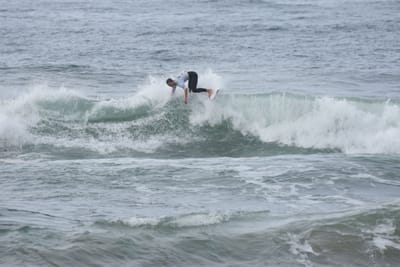 DSC_2000.JPG