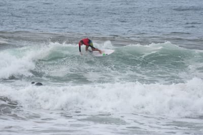 DSC_2010.JPG