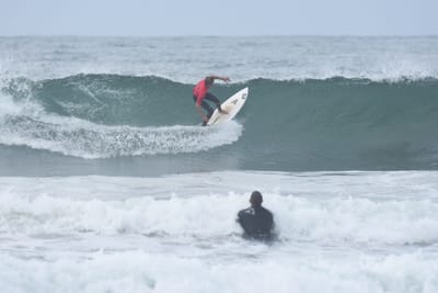 DSC_2217.JPG