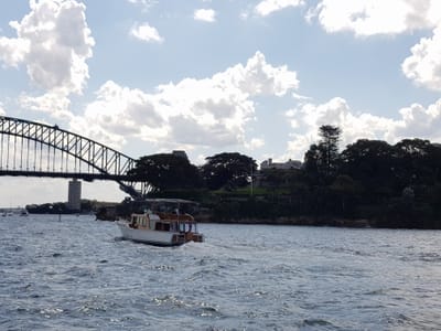 20171029_151744.jpg