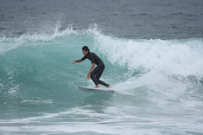 DSC_8638.JPG