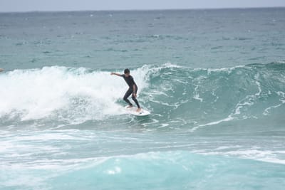 DSC_8783.JPG