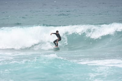 DSC_8786.JPG
