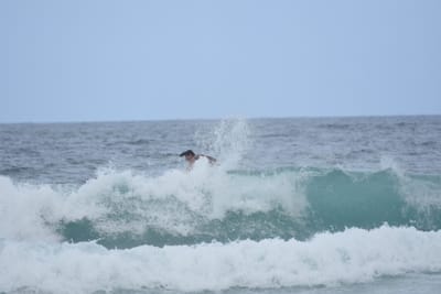DSC_9254.JPG