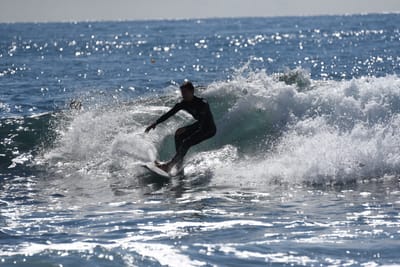 DSC_0713.JPG