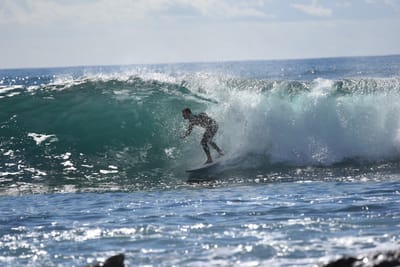 DSC_0750.JPG