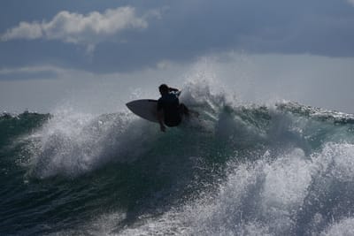 DSC_0767.JPG