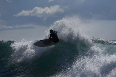 DSC_0768.JPG