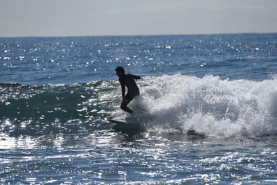 DSC_0785.JPG