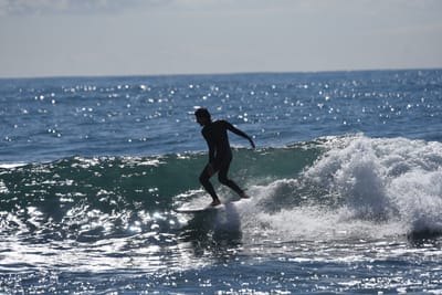 DSC_0786.JPG