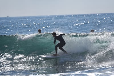 DSC_0806.JPG