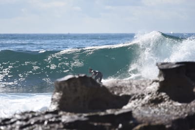 DSC_0823.JPG