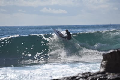 DSC_0825.JPG