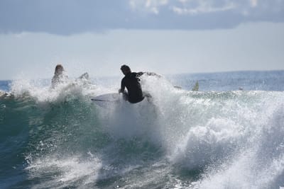 DSC_0833.JPG