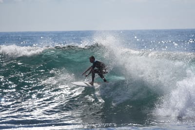 DSC_0903.JPG