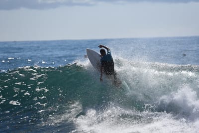 DSC_0905.JPG