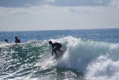 DSC_0941.JPG